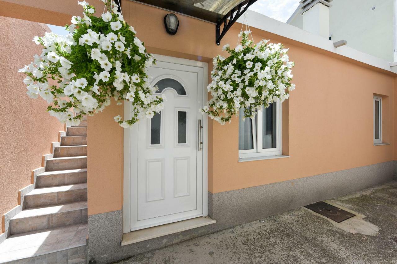 Nemo Apartament *
